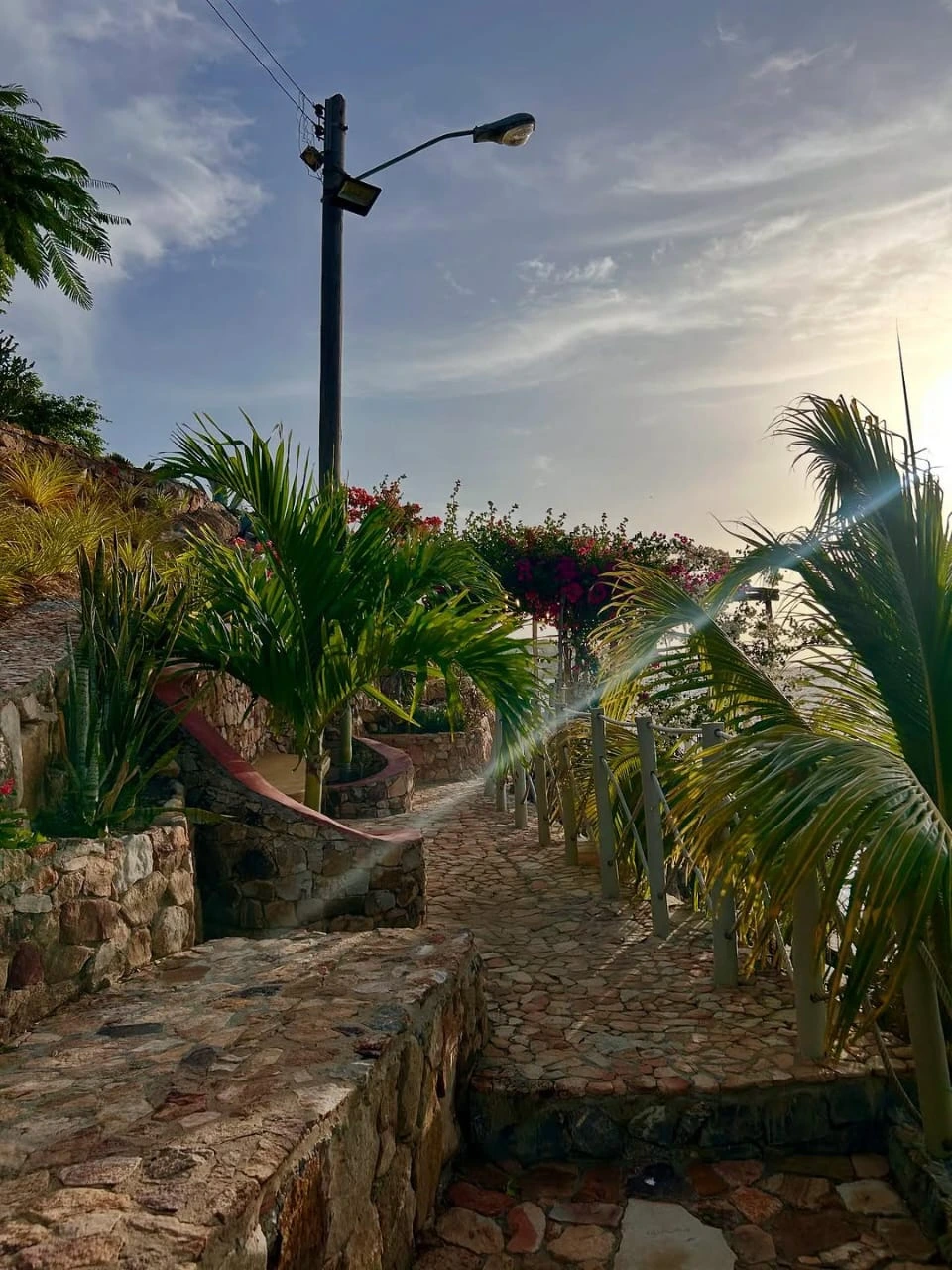 Detalles naturales en Ensenada Paradise, Ensenada Honda